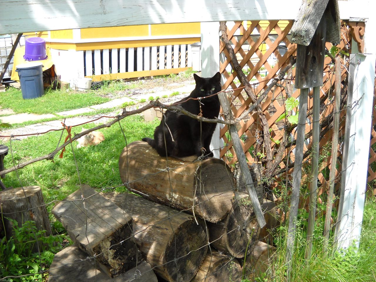 DSCN1273.JPG