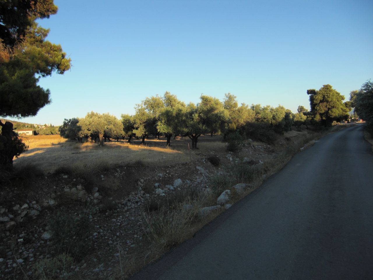 CIMG2730.JPG