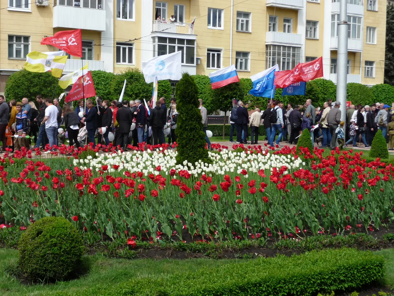 P1050540.JPG