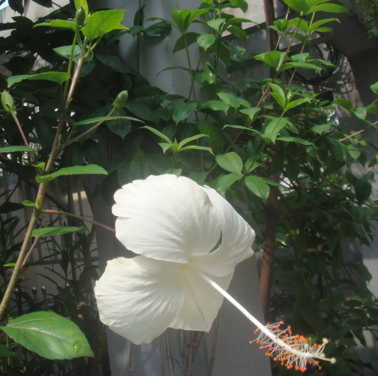 DSC01674.JPG