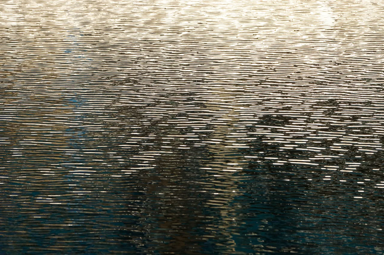 _DSC5621.JPG