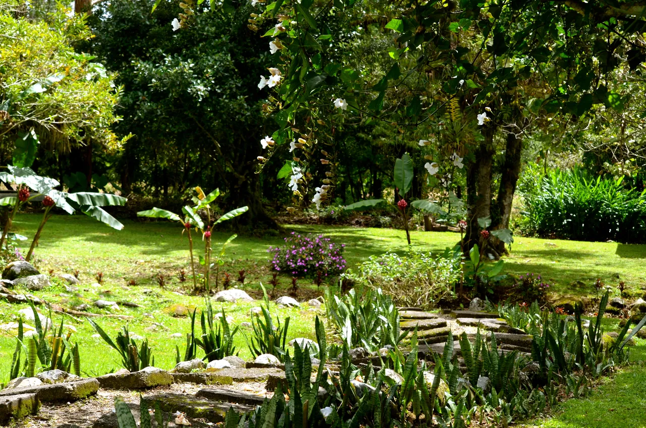 DSC_0300.JPG