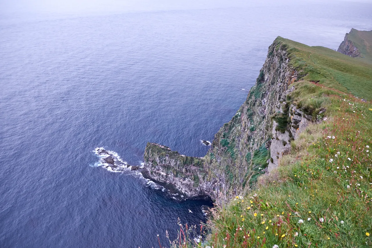 DSCF4649.jpg
