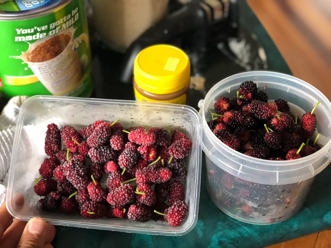 Mulberries