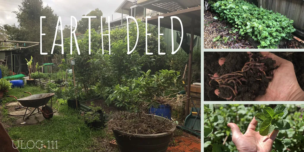 ULOG 111 - ELAmental's Earth Deed of the Day - Growing your own food organically