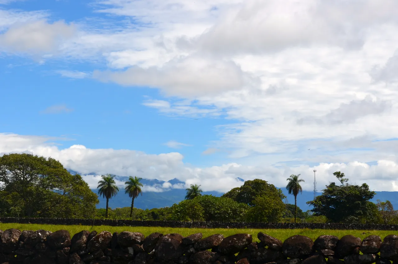 DSC_0180.JPG