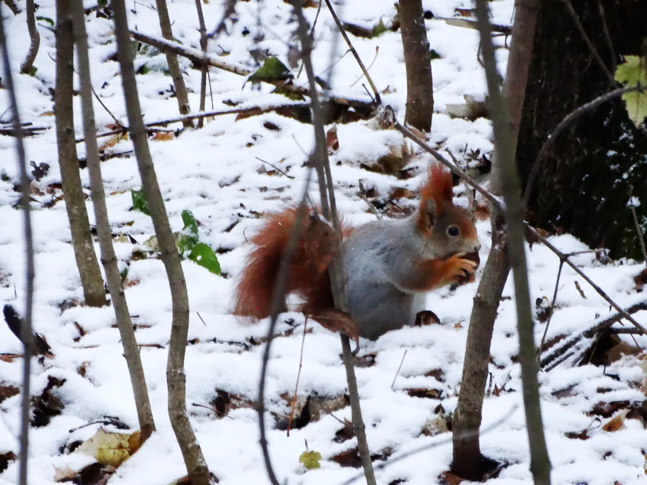 DSC05157.JPG