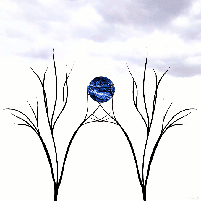 spin680G.gif