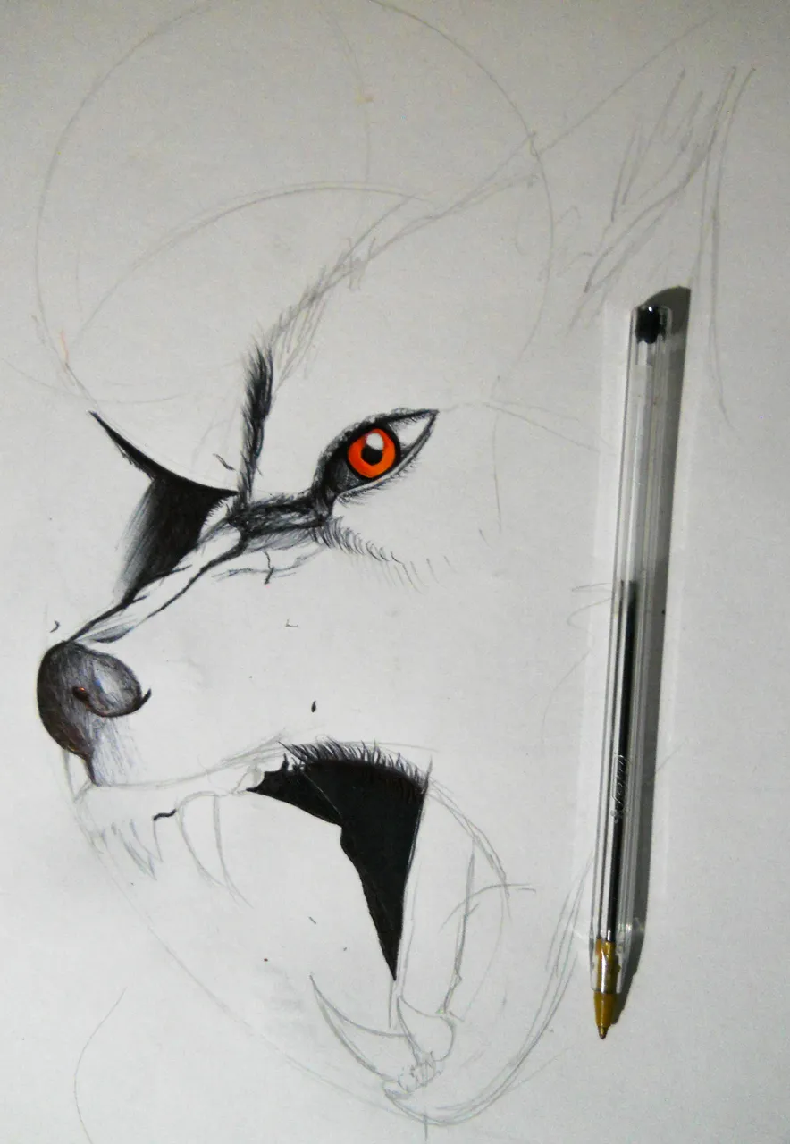 proceso2.jpg