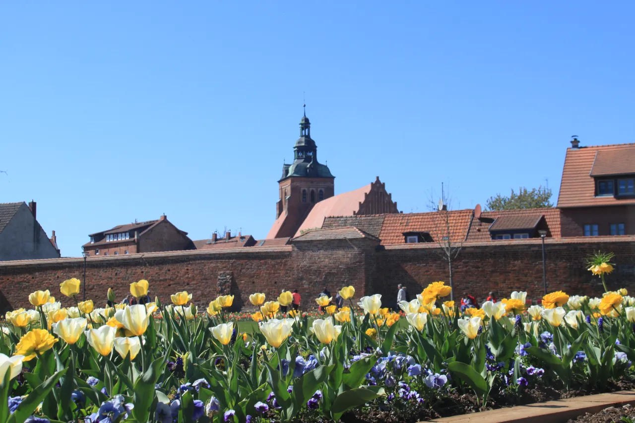 Stadt Wittstock im Blumenmeer