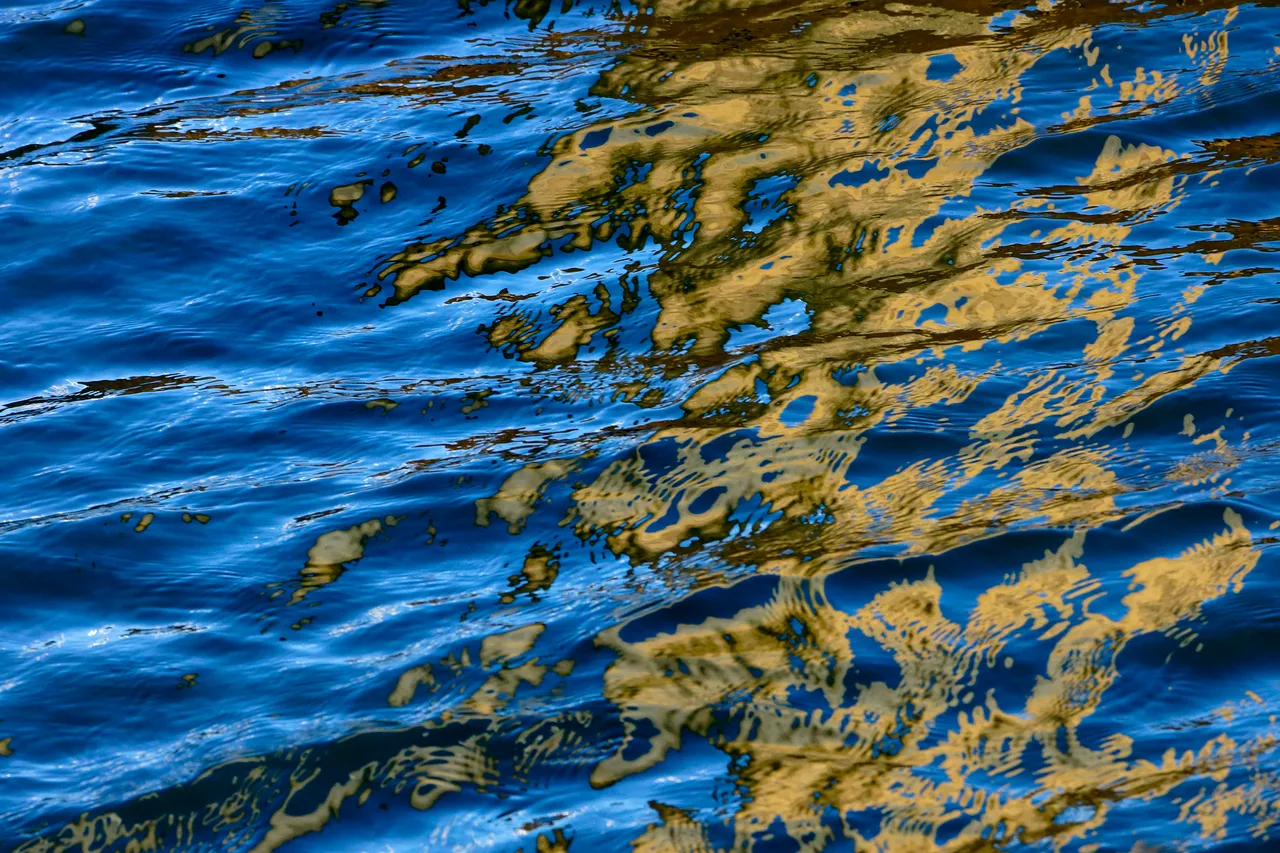 _DSC9857.JPG