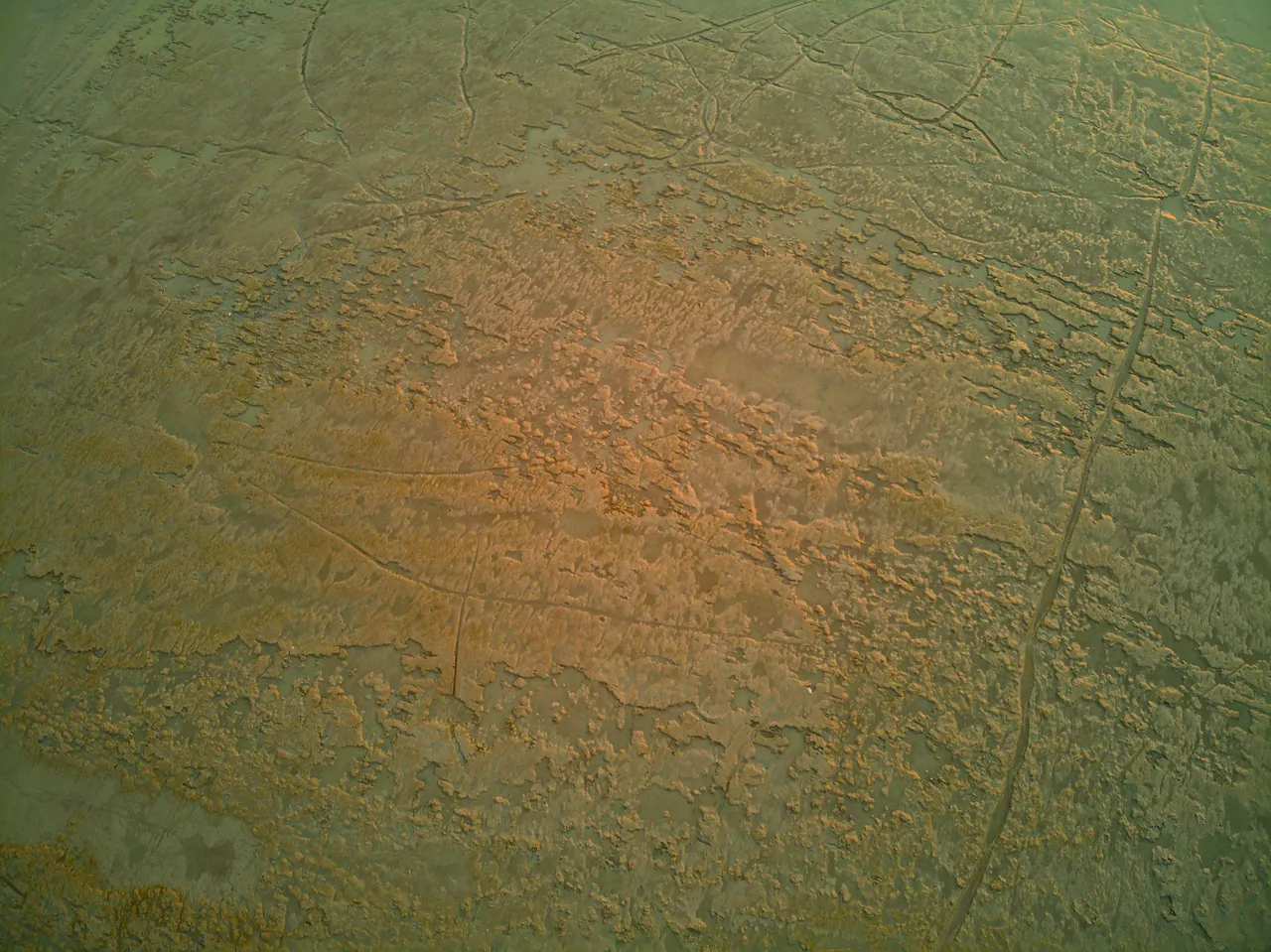 DJI_0459.jpg