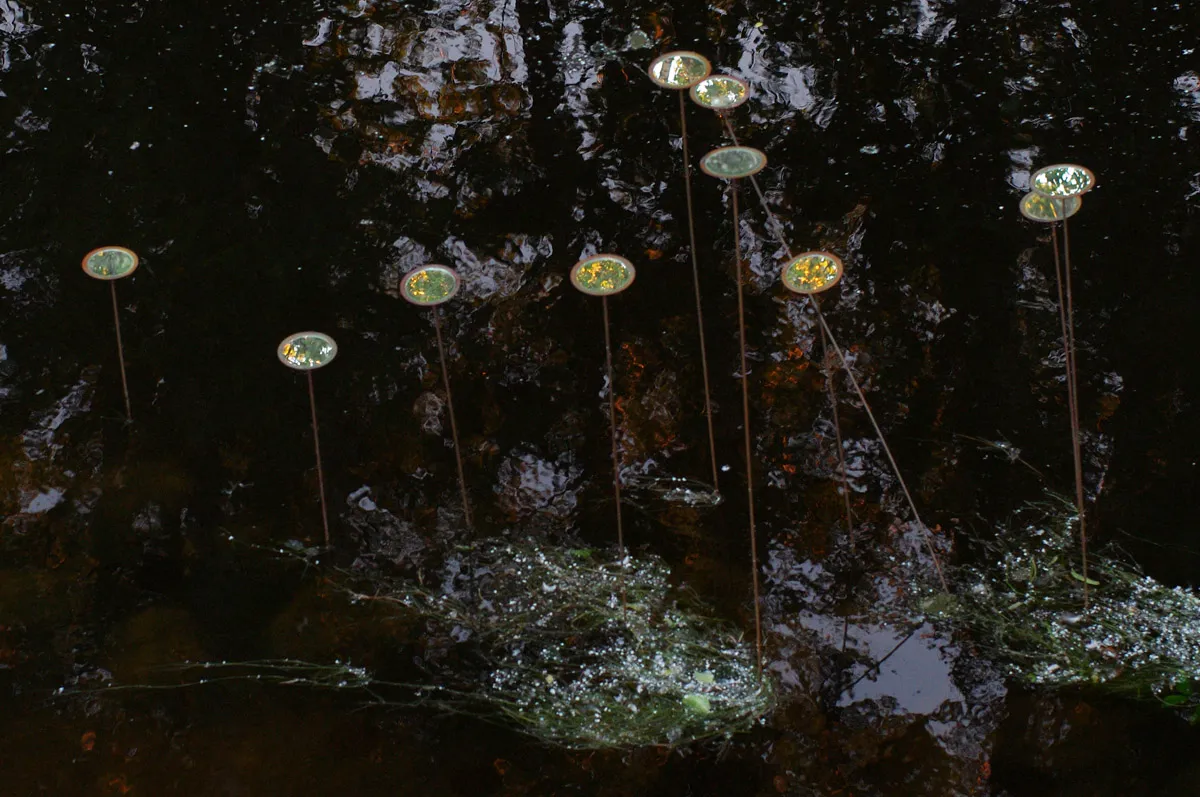 IMGP9876.jpg