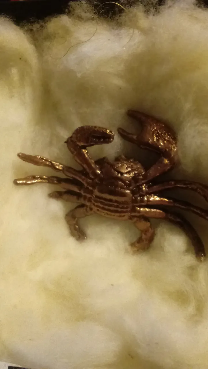 crab 1.jpg
