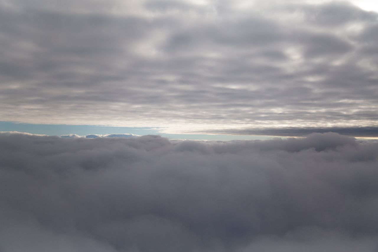 _MG_2185.jpg