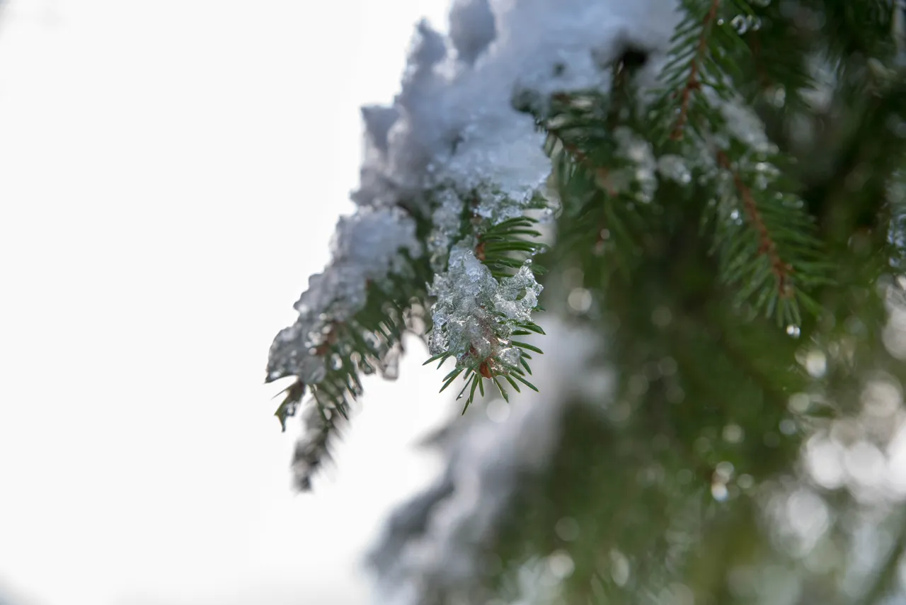 DSC_7559.jpg