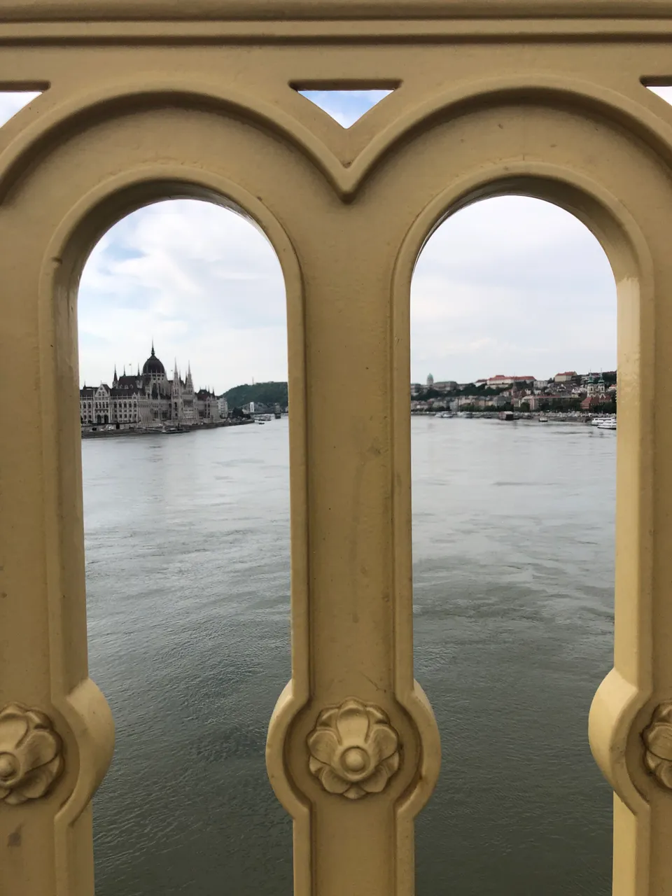 IMG4716.JPEG