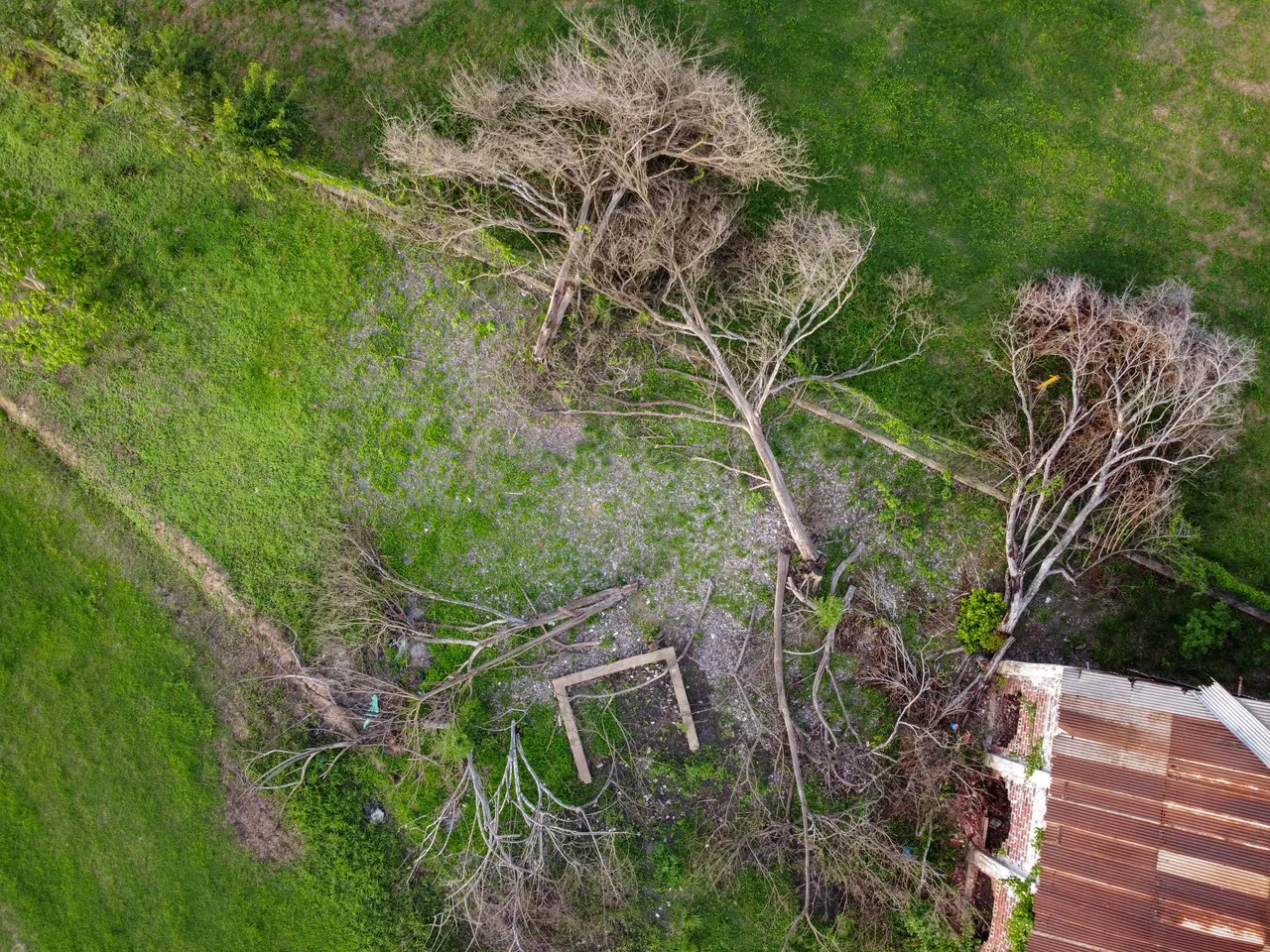 DJI_0095.jpg