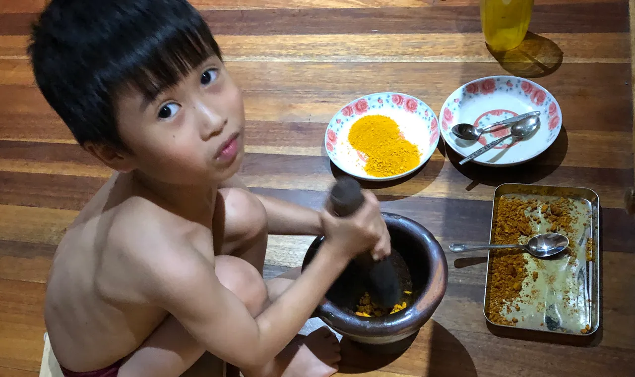 Thien-San grinding Turmeric