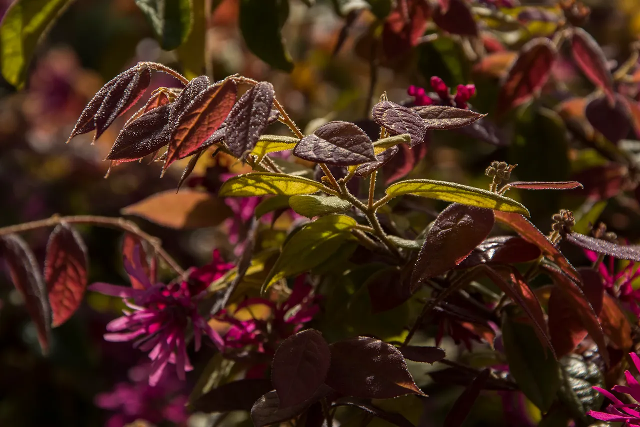 DSC_1269.jpg