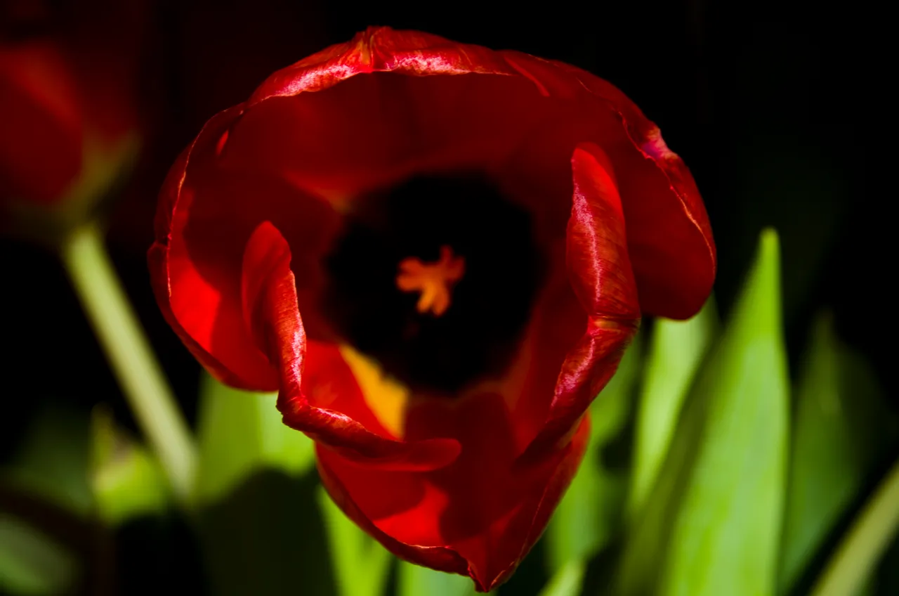 IMGP5040.JPG