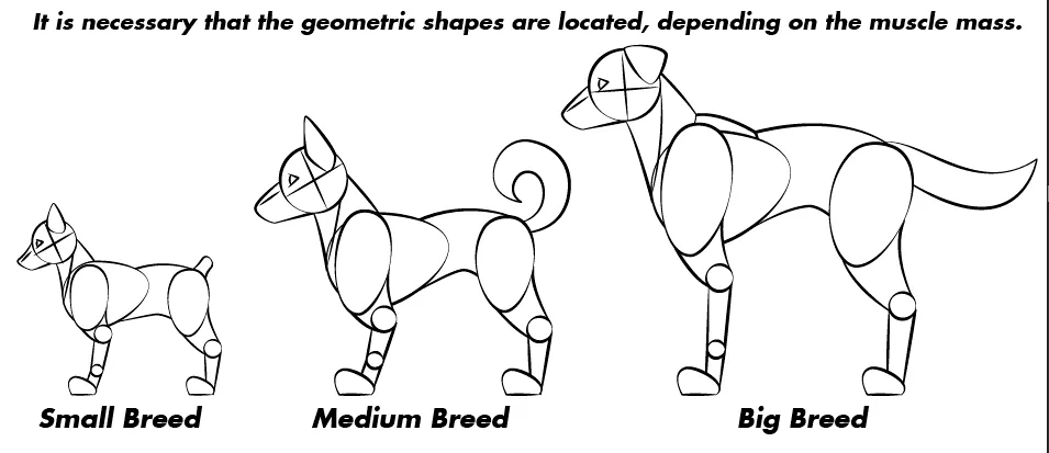 Perros-8.png