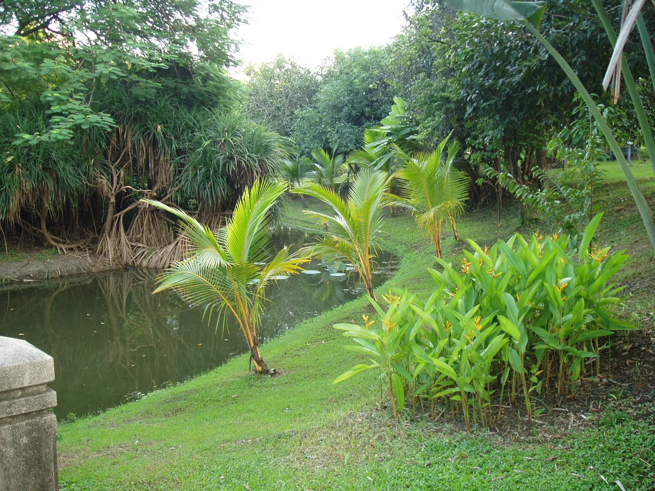 Queen Sirikit Park privacy