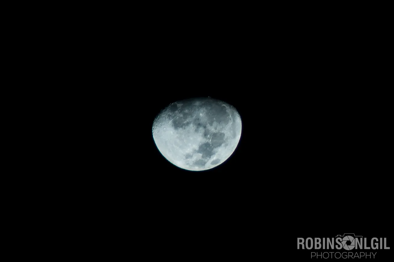 DSC_5532.jpg