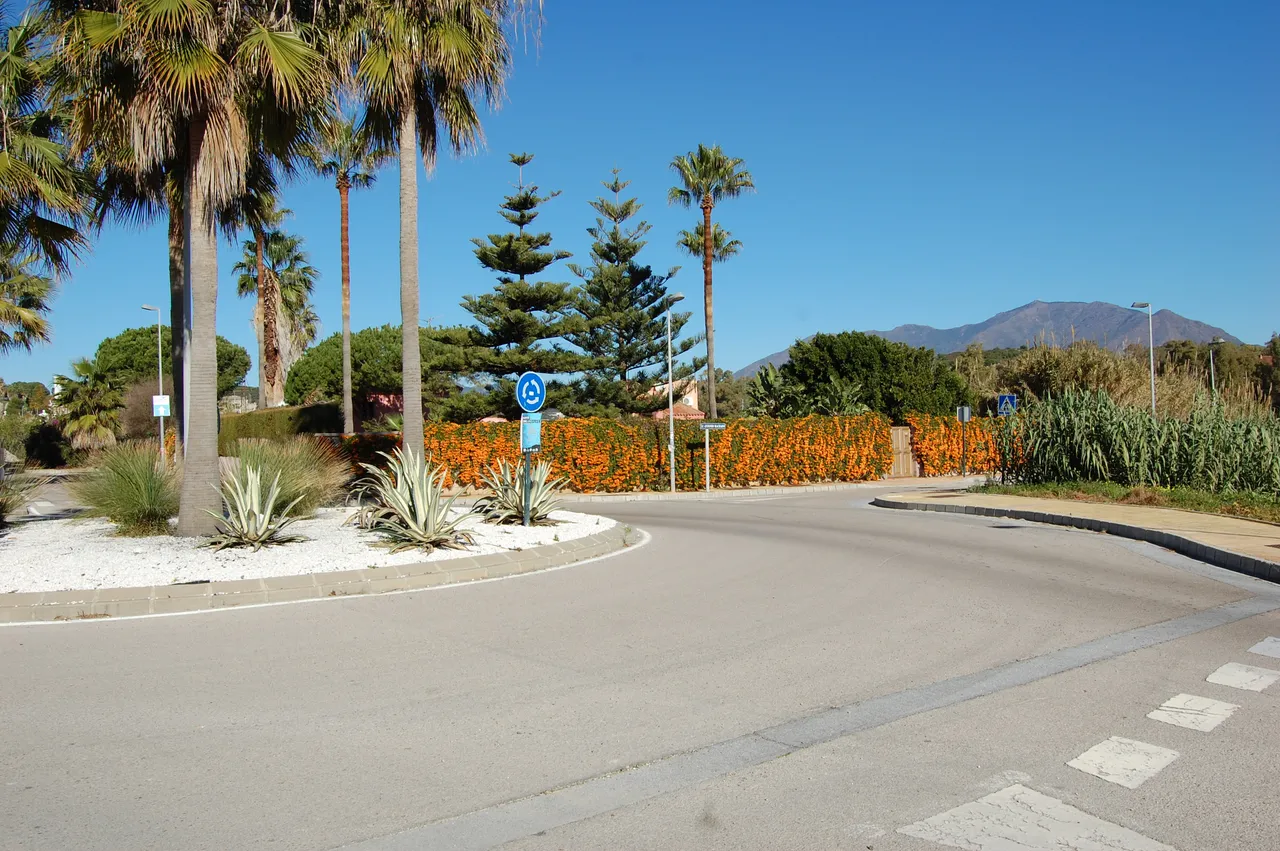 DSC_0948.JPG