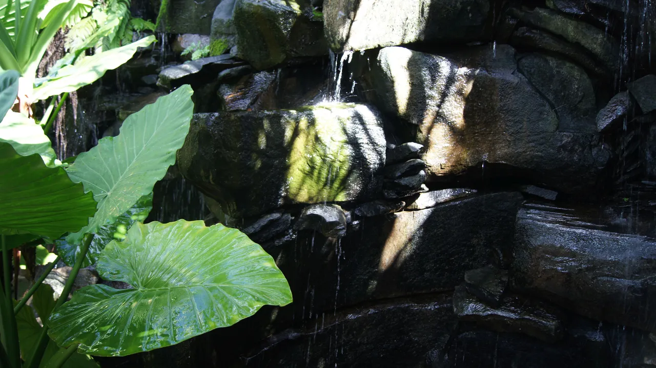 DSC06828.jpg