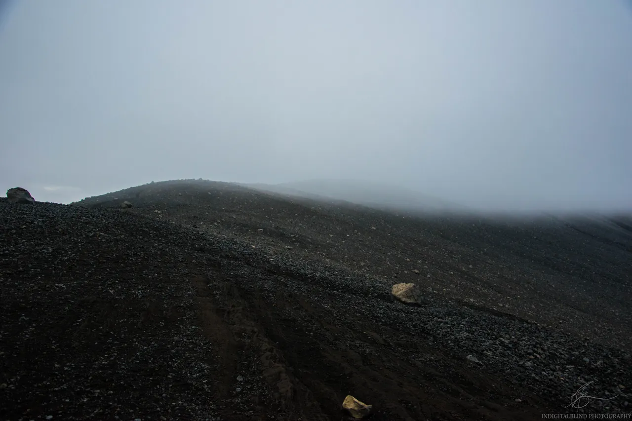 DSC_0193.JPG