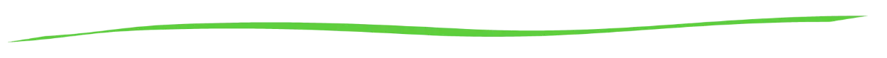 dividerb.png
