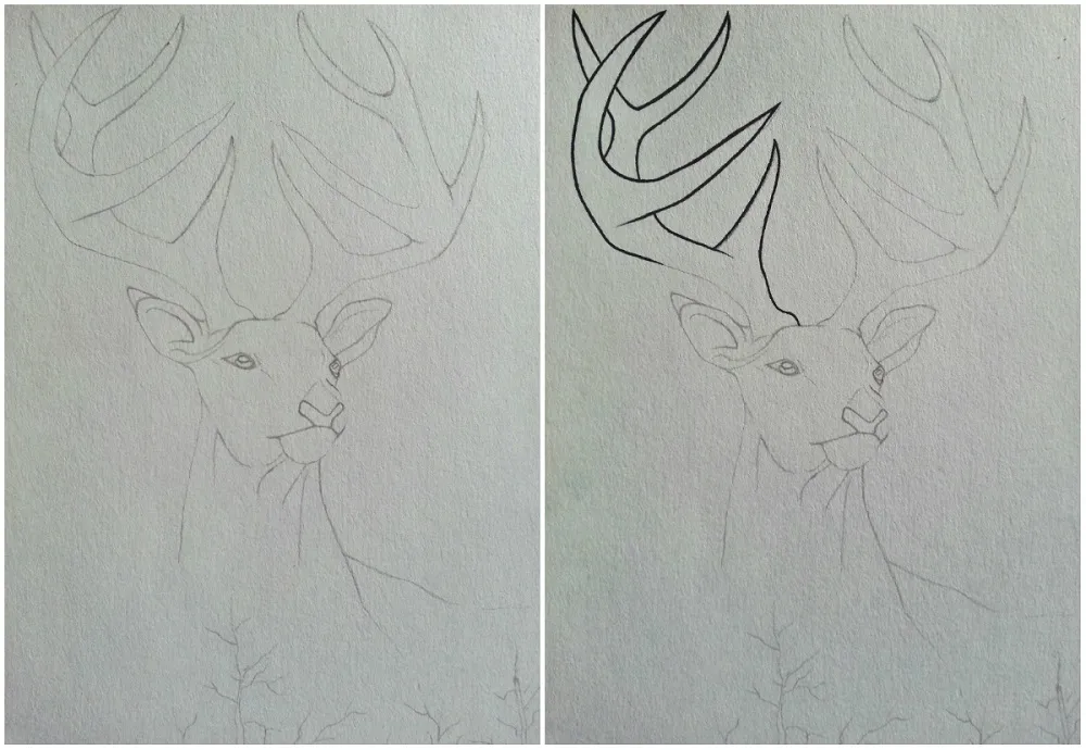 collage1.jpg