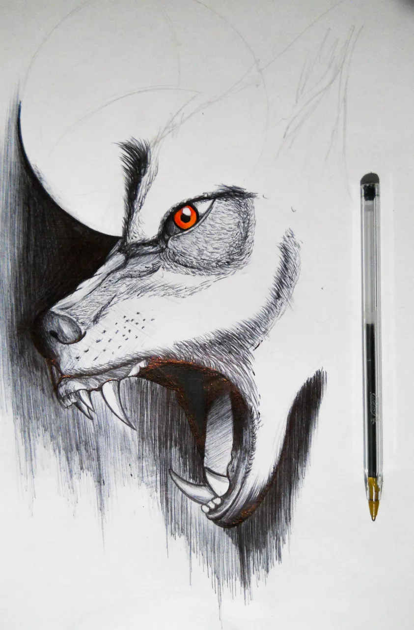 proceso4.jpg