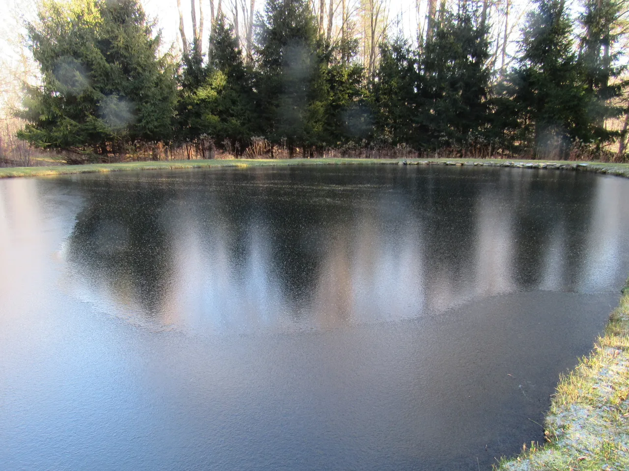 IMG_8009.JPG