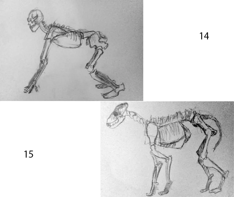 paso 6.png