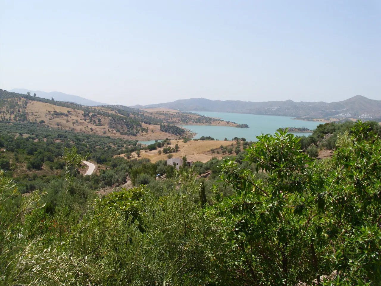 DSCI0285.JPG
