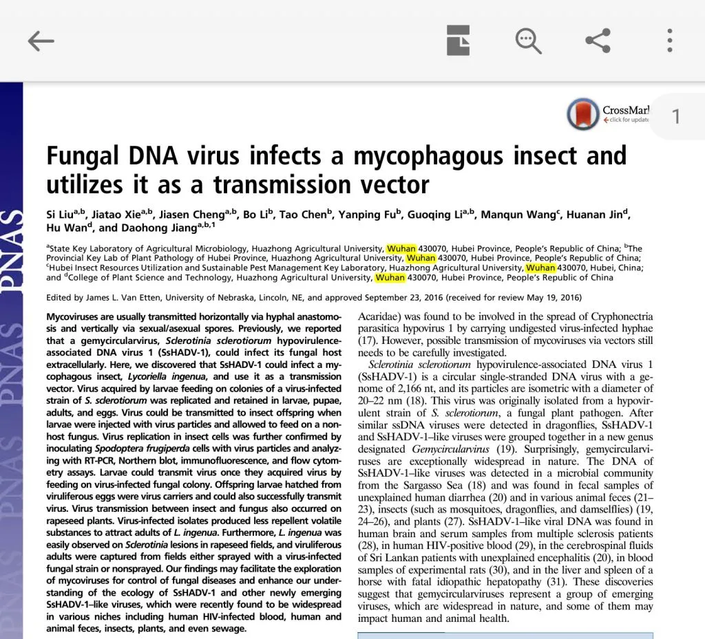 Spores02.jpg