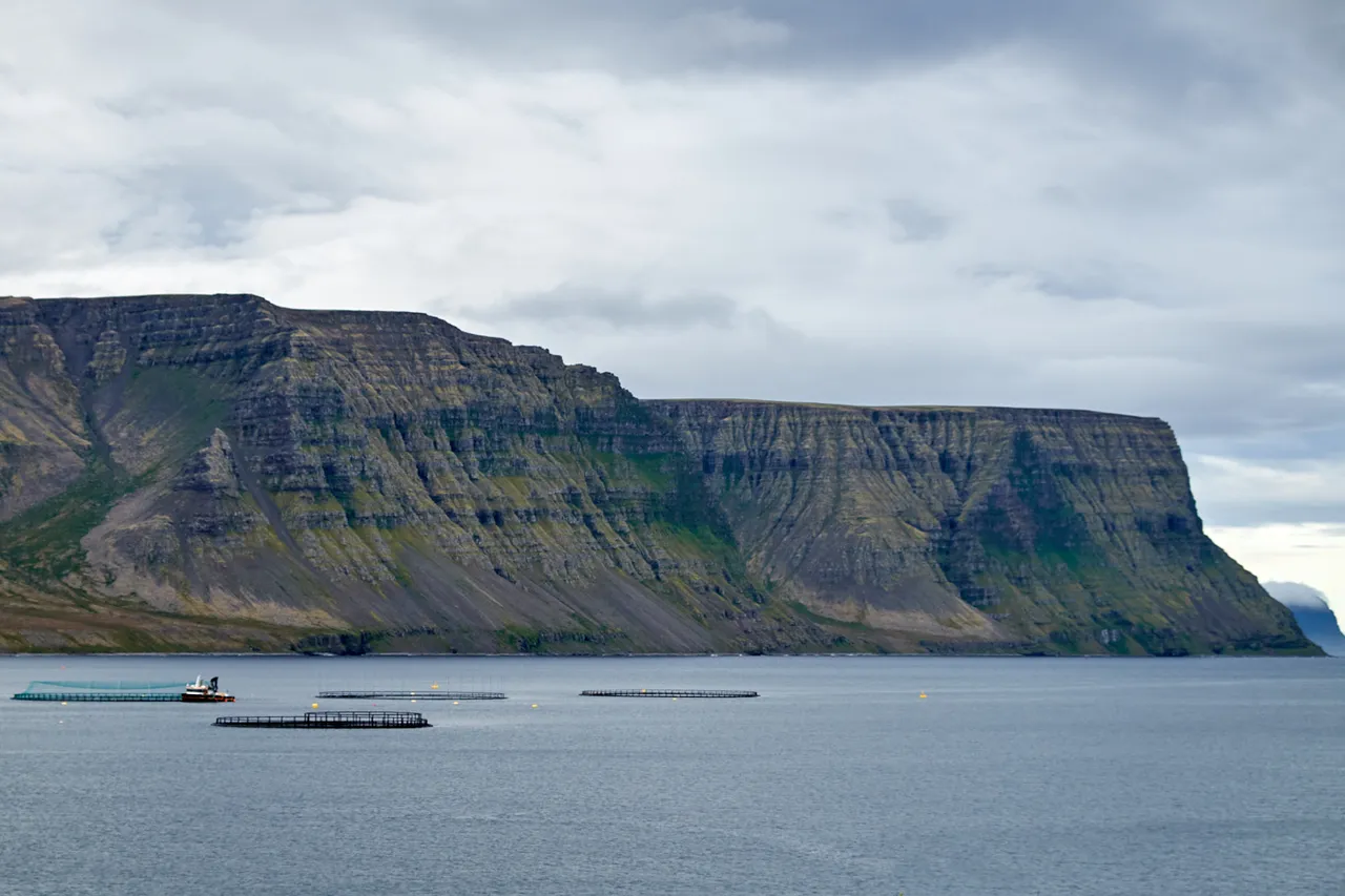 DSCF4657.jpg