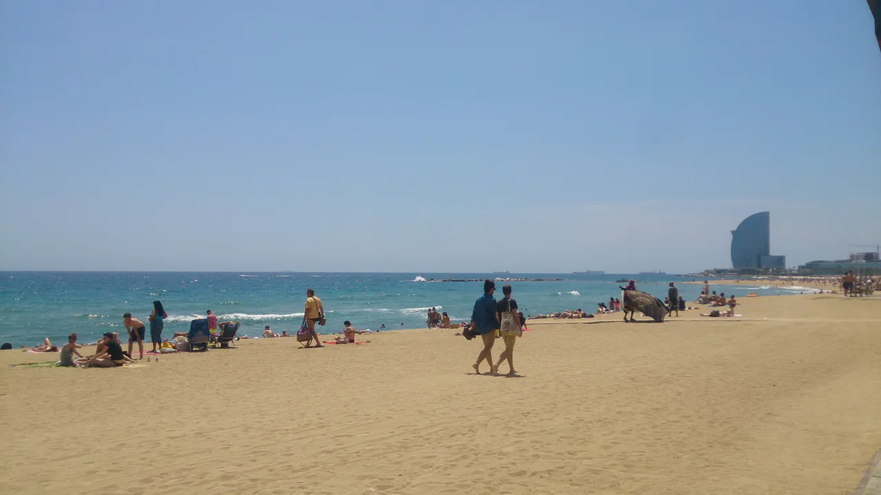 DSC_2219.JPG