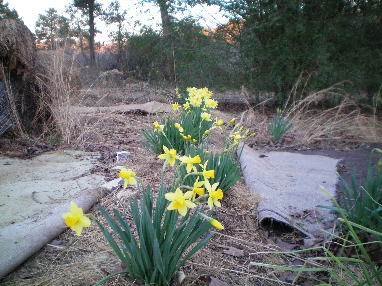 100_0011.JPG