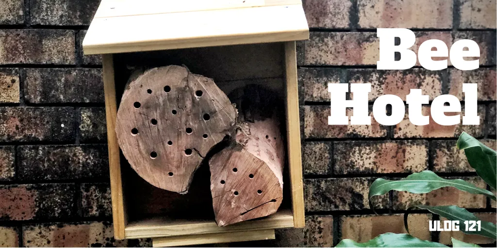 ULOG 121 - My bee hotel