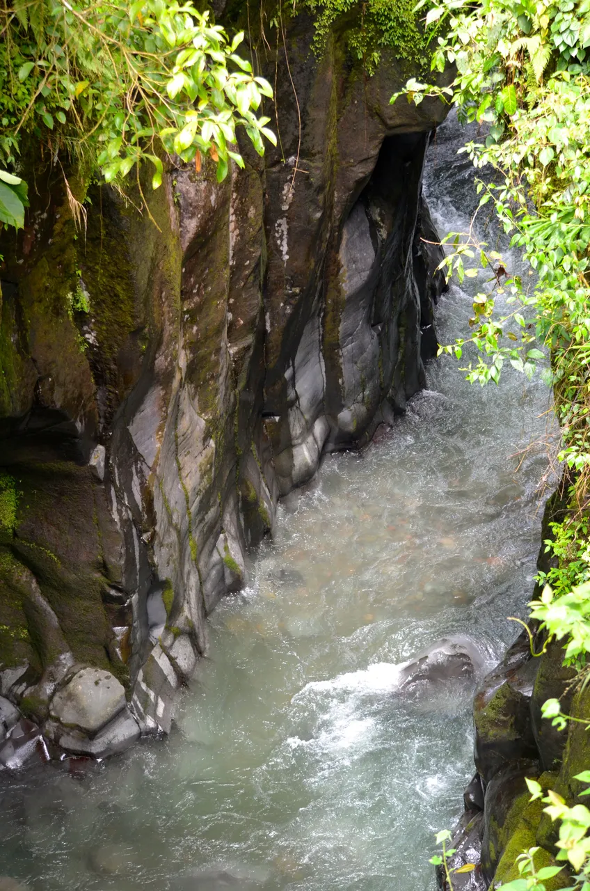 DSC_0239.jpg