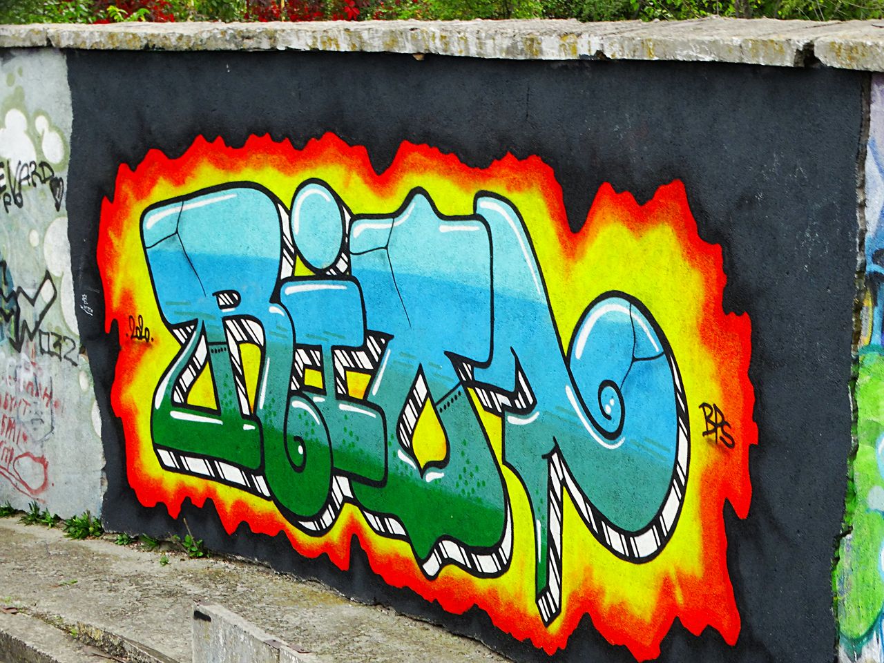 DSC07408.JPG