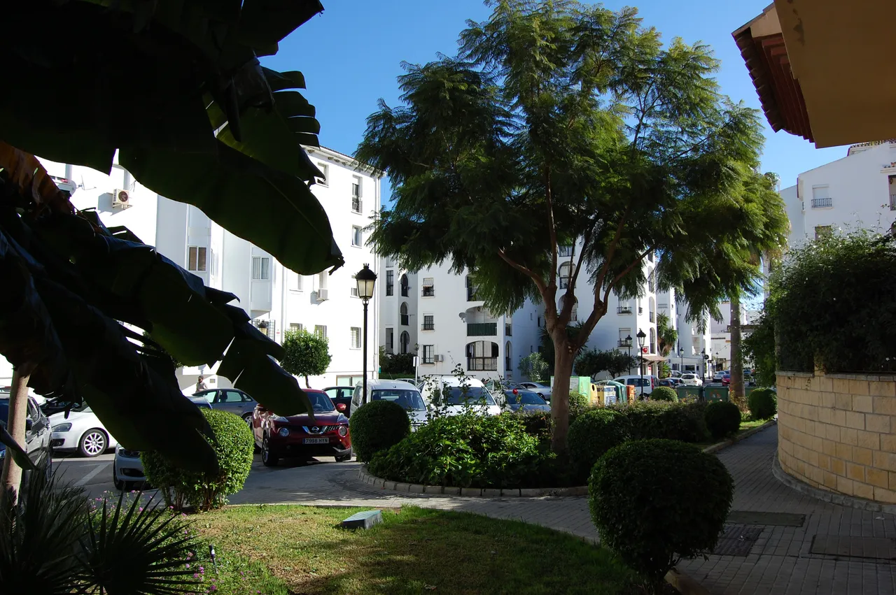 DSC_0343.JPG