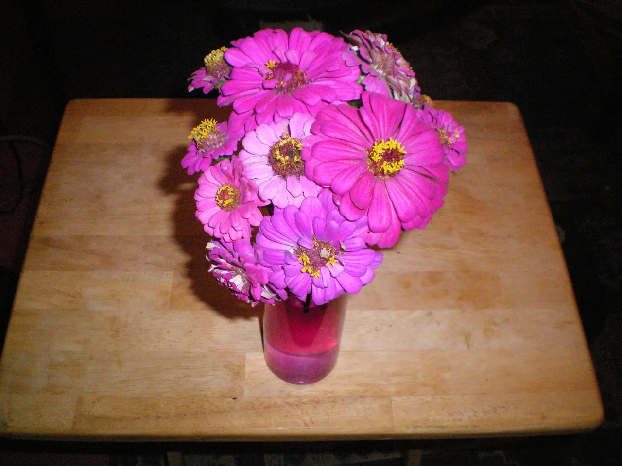 100_0005.JPG