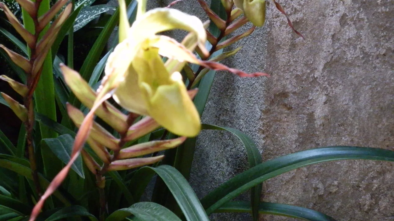 P7020025.JPG