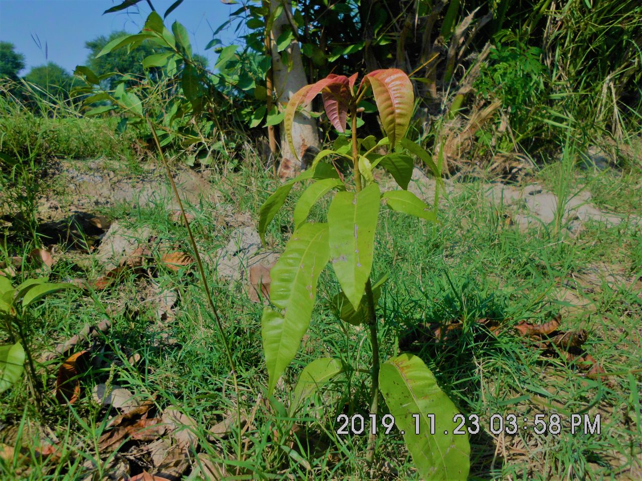SANY0718.JPG