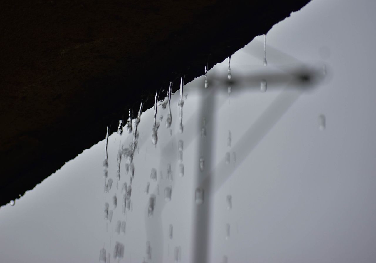 DSC_0568.jpg