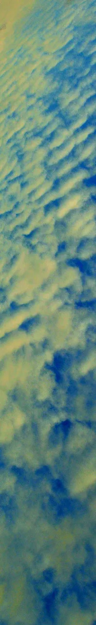 IMAG0020.JPG